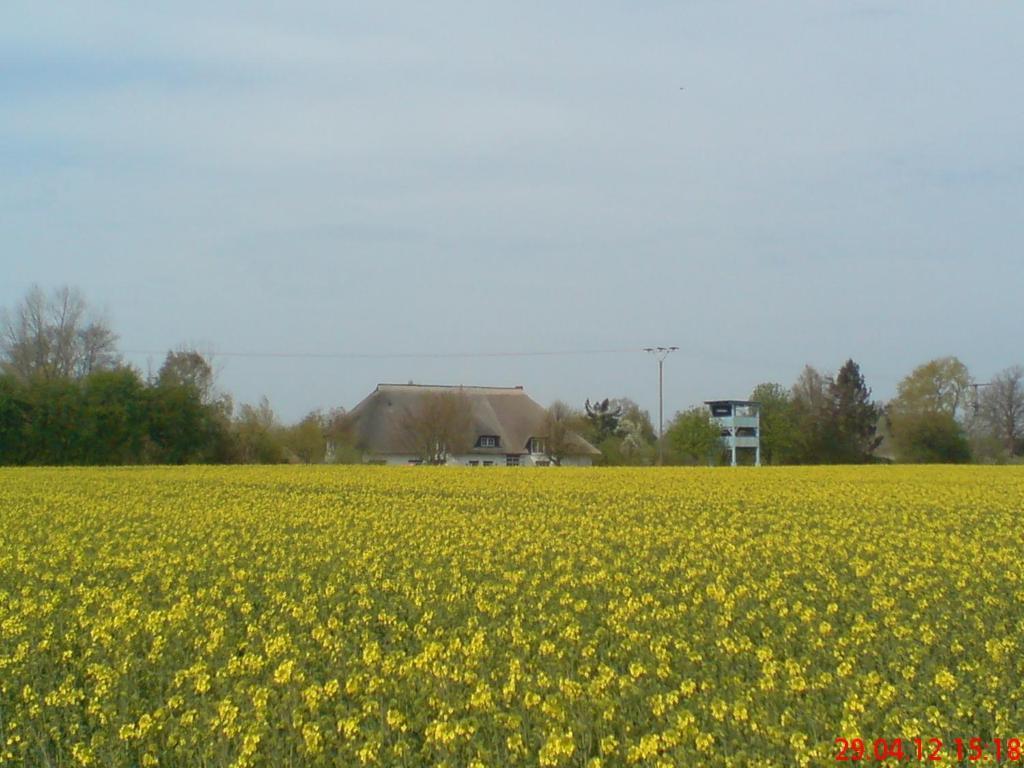 Landhotel Teichwiesenhof Oldenburg in Holstein Exterior photo